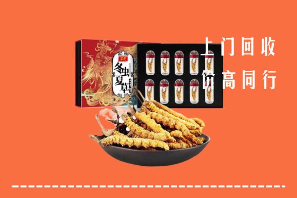 附近收购:曲江区回收虫草